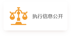 执行信息公开